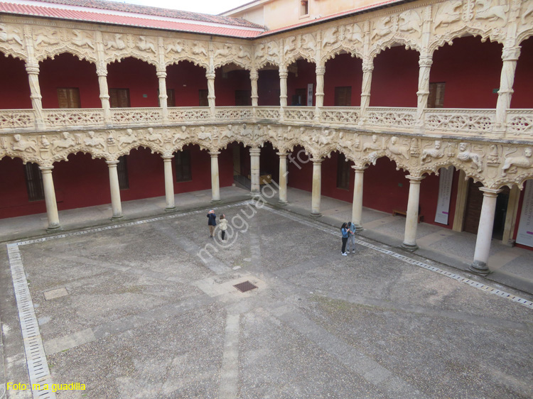 GUADALAJARA (139) Palacio del Infantado