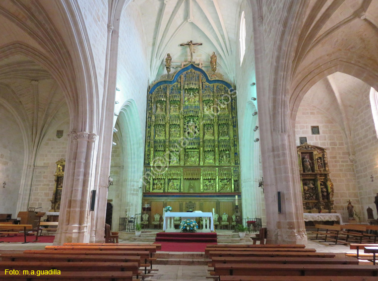 GUMIEL DE IZAN (105) Iglesia de Santa Maria