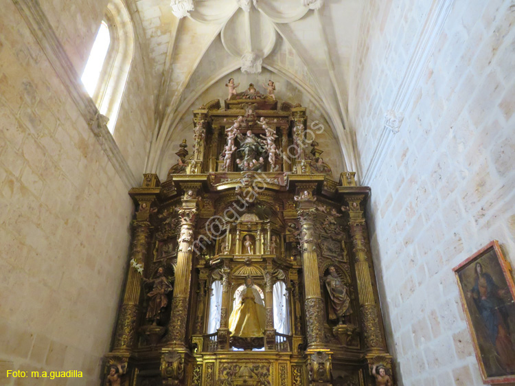 GUMIEL DE IZAN (110) Iglesia de Santa Maria