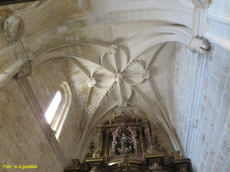 GUMIEL DE IZAN (111) Iglesia de Santa Maria