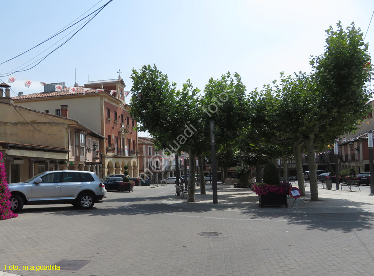 HERRERA DE PISUERGA (106) Plaza
