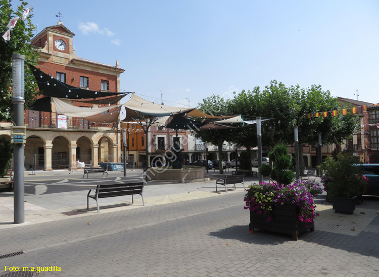 HERRERA DE PISUERGA (115) Plaza