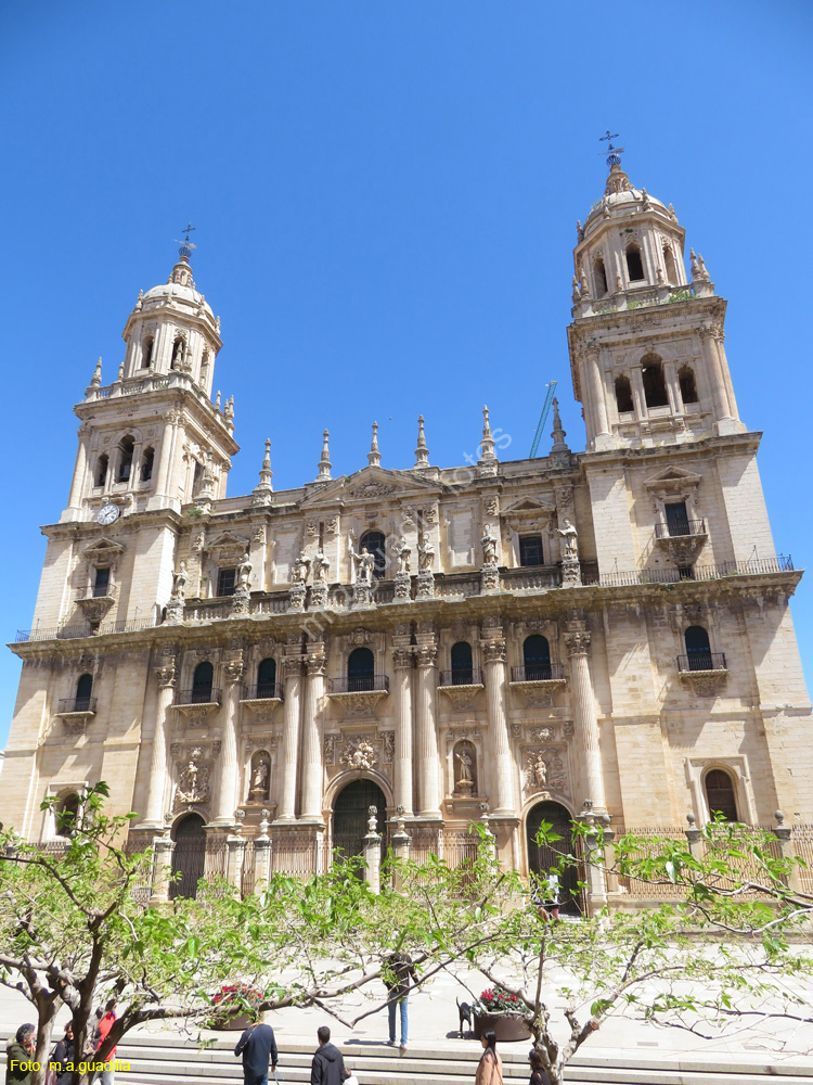 JAEN (109) Catedral - Plaza de Santa Maria