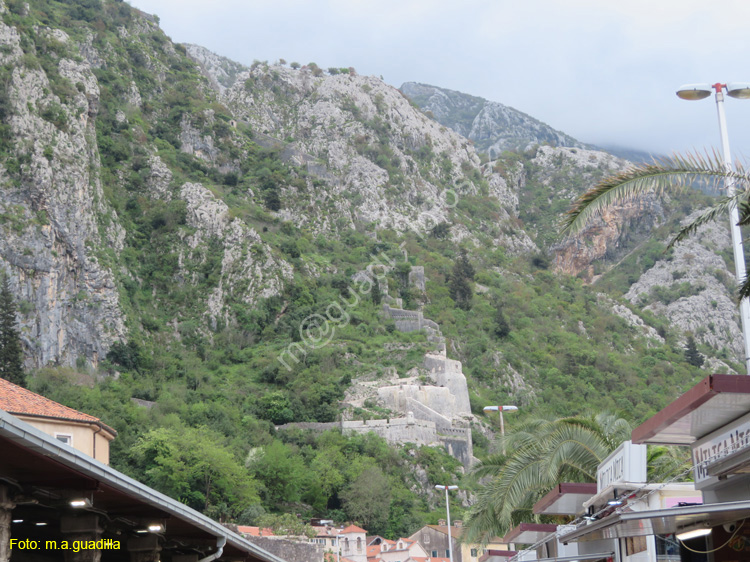 Montenegro - Kotor (106) Muralla