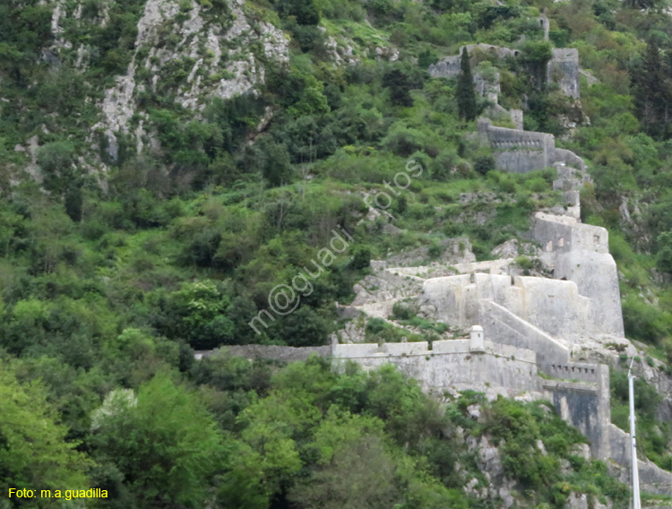 Montenegro - Kotor (107) Muralla