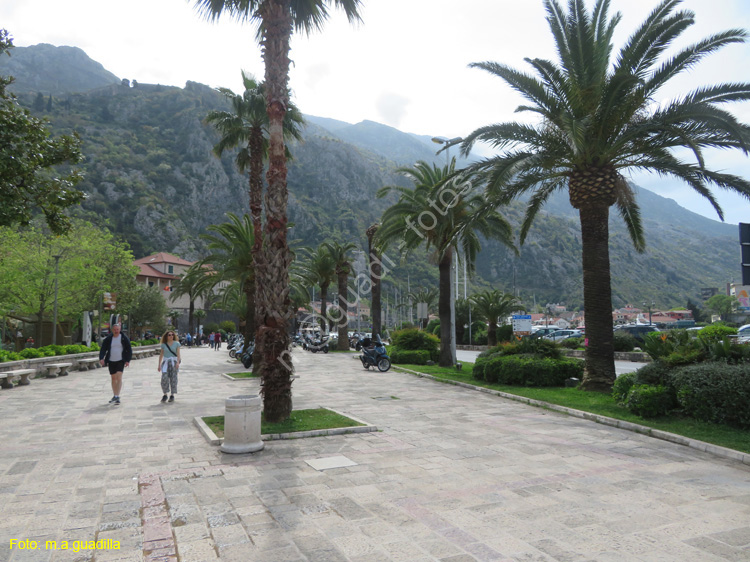 Montenegro - Kotor (109) Parque Riva
