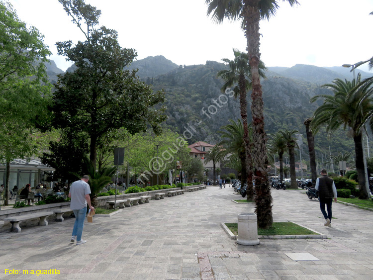 Montenegro - Kotor (110) Parque Riva