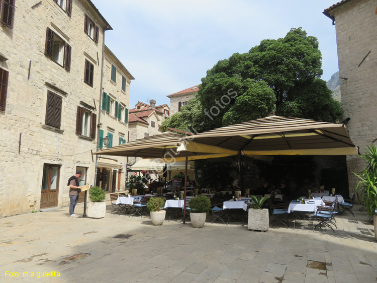 Montenegro - Kotor (149)