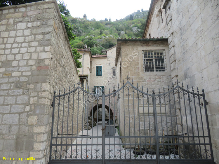 Montenegro - Kotor (195) Casco Antiguo