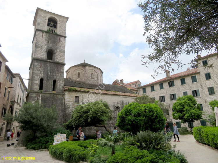 Montenegro - Kotor (206) Iglesia de Santa Maria de la Colegiata