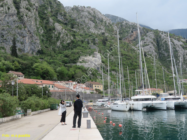 Montenegro - Kotor (219) Puerto