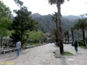 Montenegro - Kotor (110) Parque Riva
