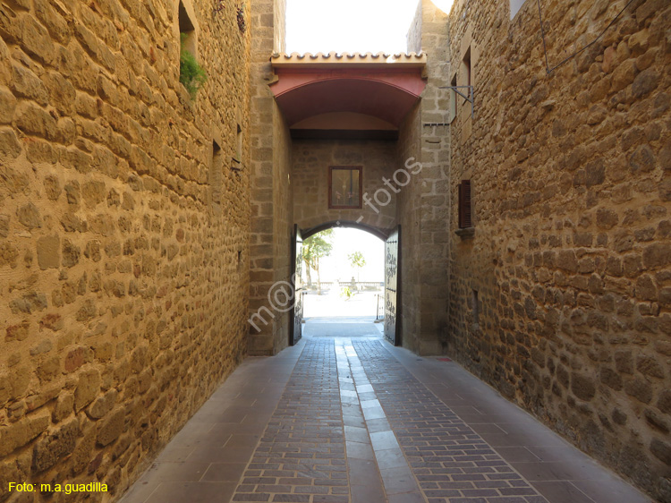 LA GUARDIA (104) Puerta de Paganos