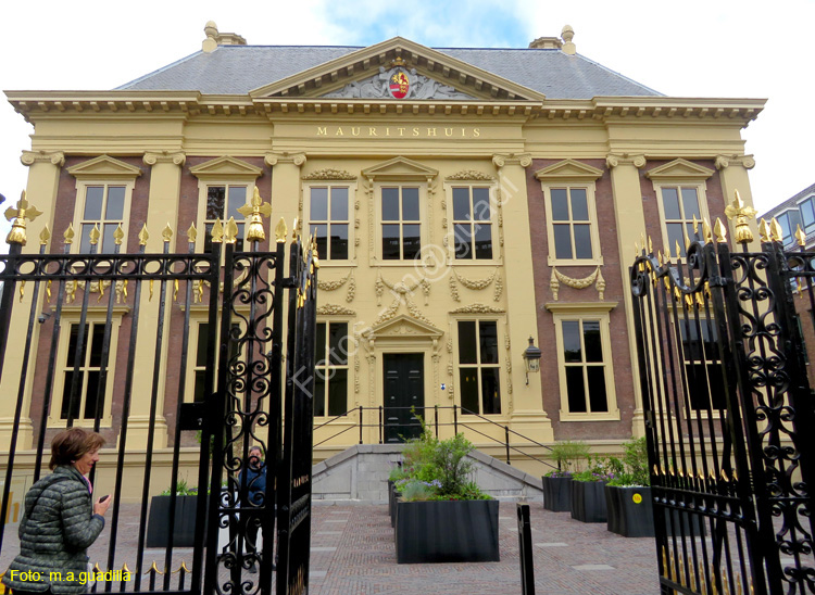 LA HAYA (134) Museo Mauritshuis