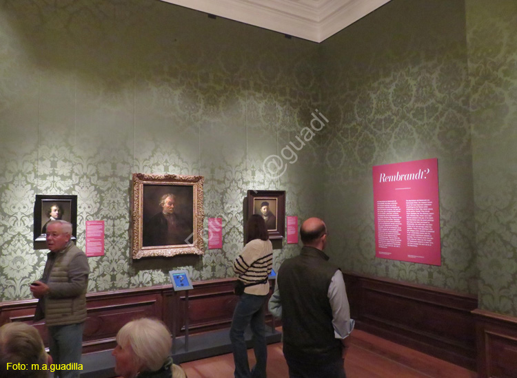 LA HAYA (170) Museo Mauritshuis