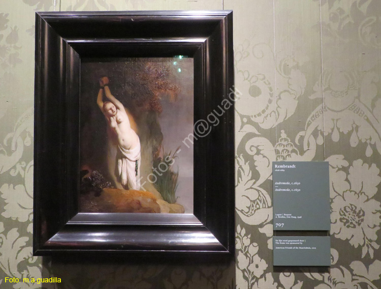 LA HAYA (173) Museo Mauritshuis