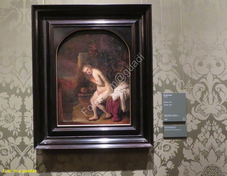 LA HAYA (174) Museo Mauritshuis