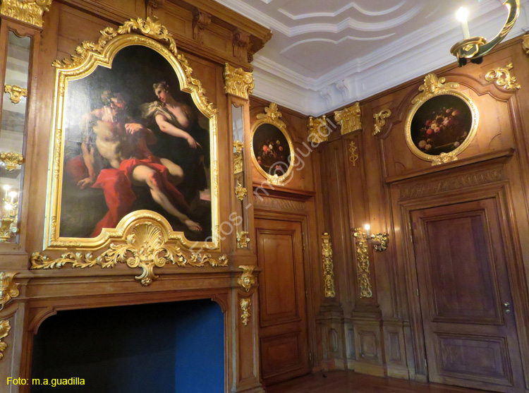 LA HAYA (179) Museo Mauritshuis