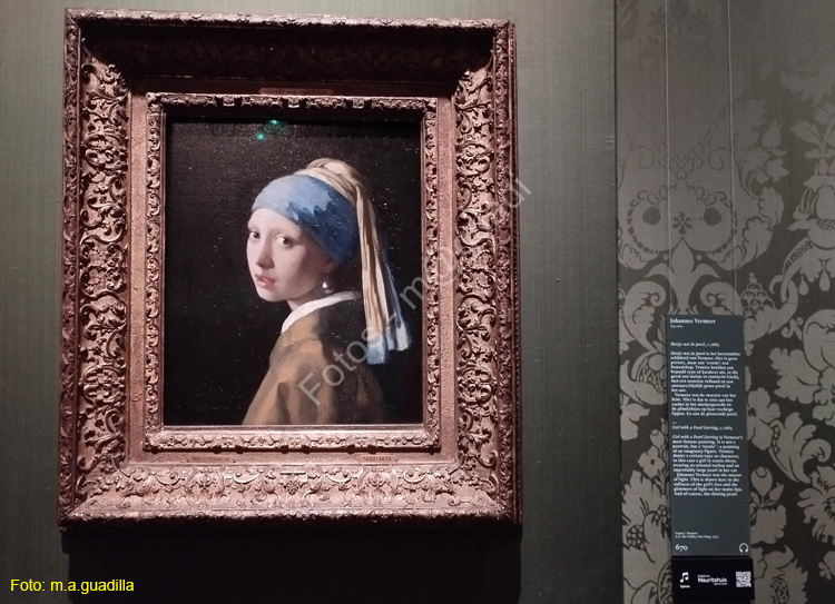 LA HAYA (187)b  Museo Mauritshuis