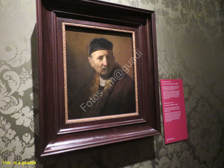 LA HAYA (199) Museo Mauritshuis