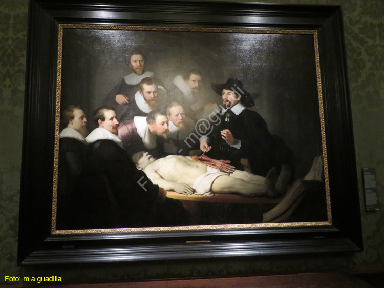LA HAYA (201) Museo Mauritshuis
