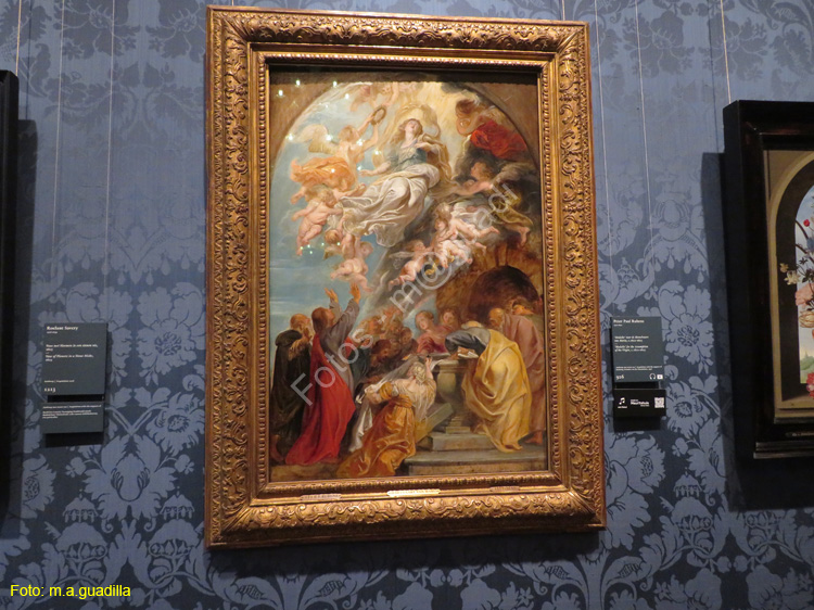 LA HAYA (208) Museo Mauritshuis