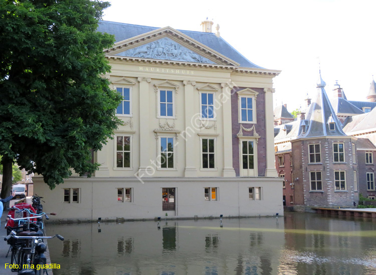 LA HAYA (213) Museo Mauritshuis