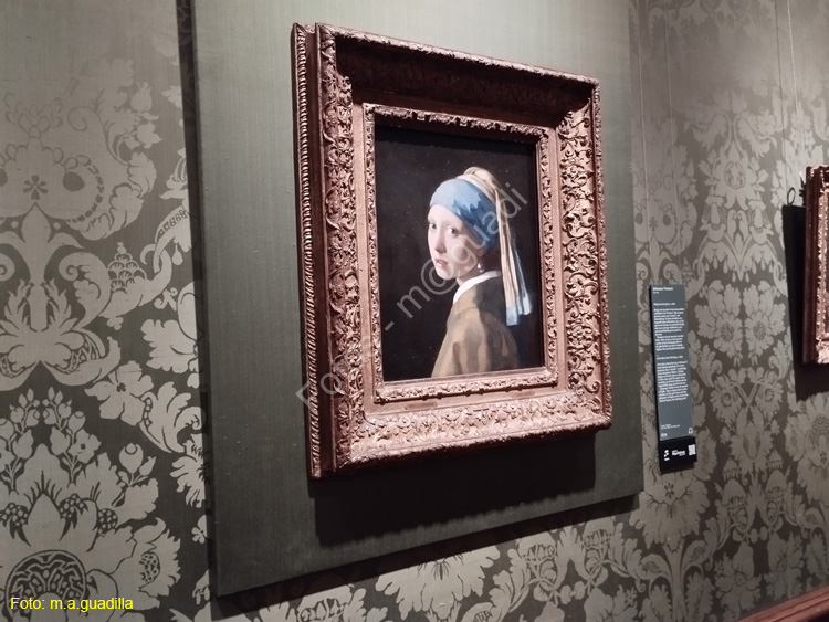 LA HAYA (218)  Museo Mauritshuis
