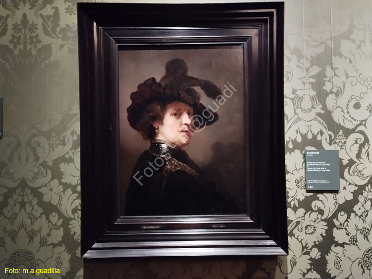LA HAYA (228)  Museo Mauritshuis