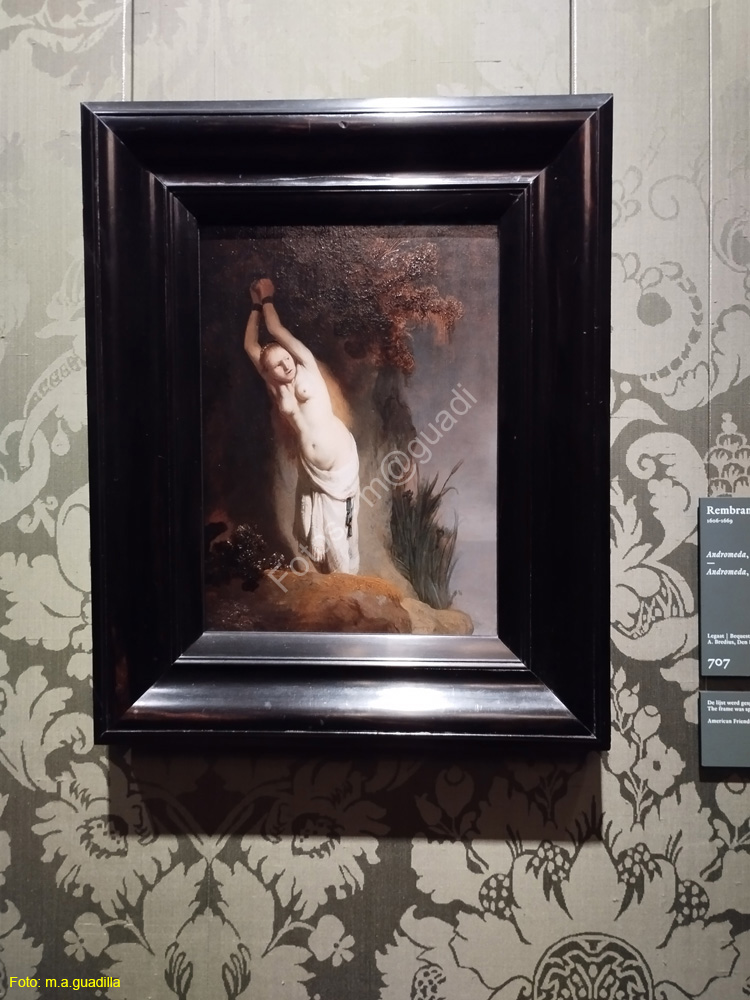 LA HAYA (229)  Museo Mauritshuis