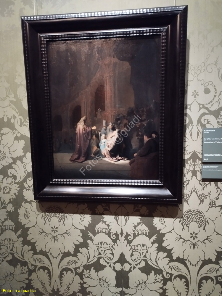 LA HAYA (230)  Museo Mauritshuis