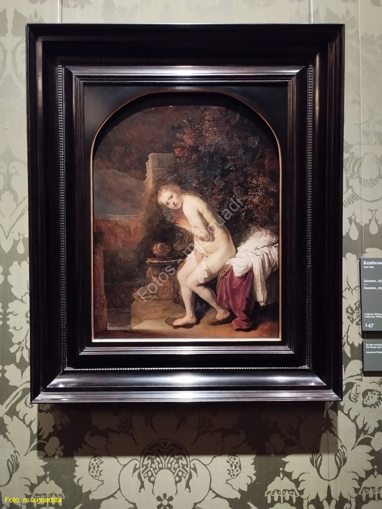 LA HAYA (231)  Museo Mauritshuis