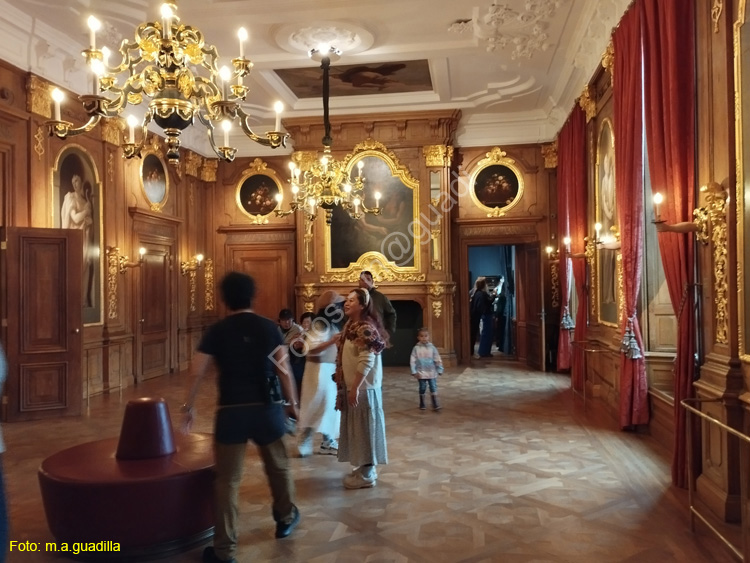 LA HAYA (234)  Museo Mauritshuis