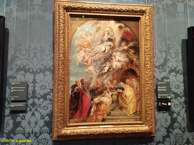 LA HAYA (237)  Museo Mauritshuis
