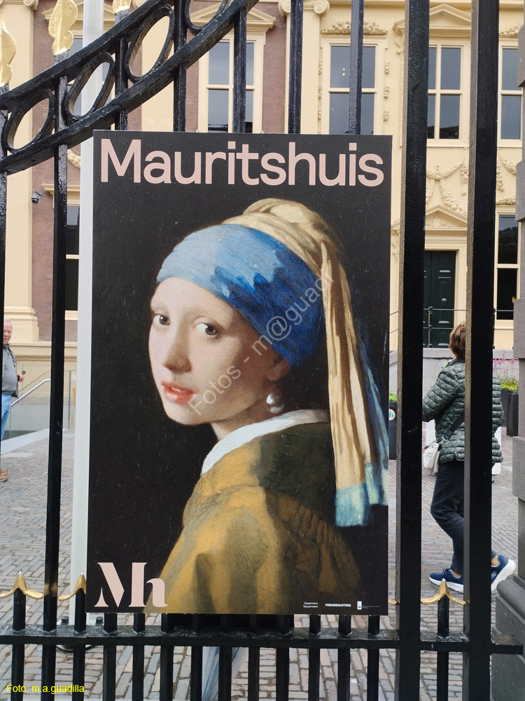 LA HAYA (238)  Museo Mauritshuis