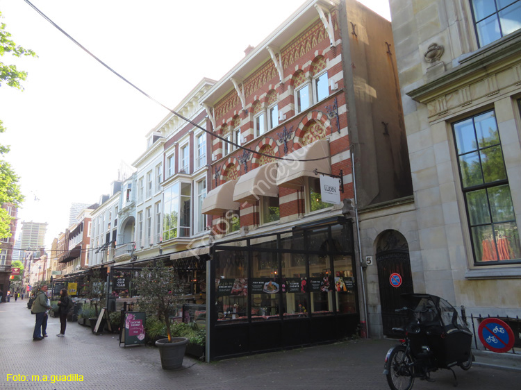 LA HAYA (267) Plein