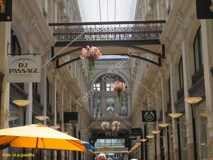 LA HAYA (289) De Passage