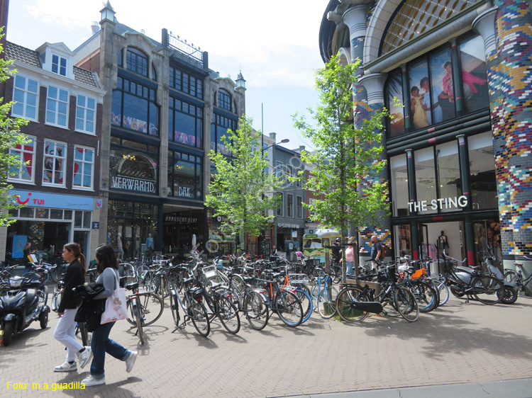 LA HAYA (308) Dagelijkse Groenmarkt
