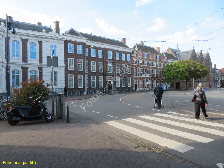 LA HAYA (334) cl Kneuterdijk