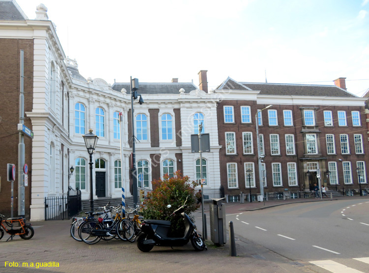 LA HAYA (337) kneuterdijk