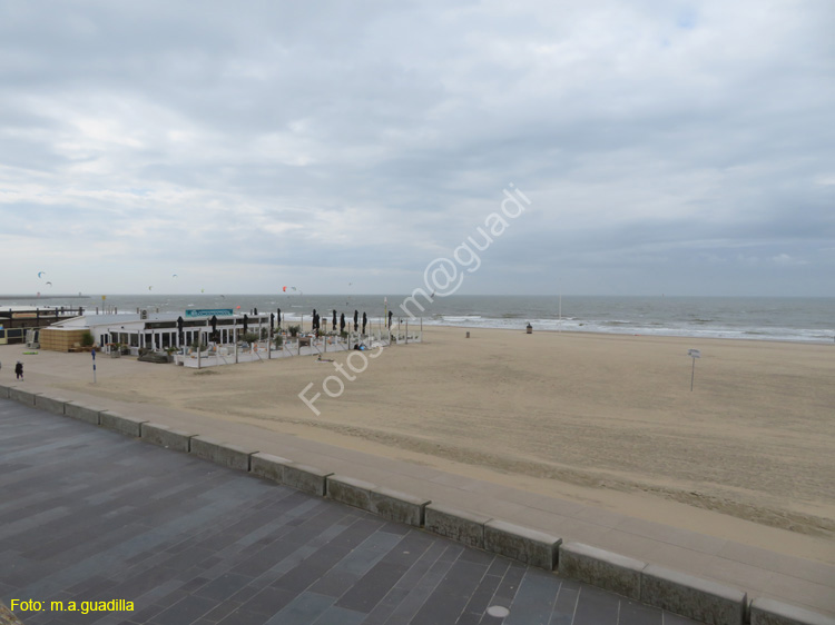 LA HAYA (343) Scheveningen
