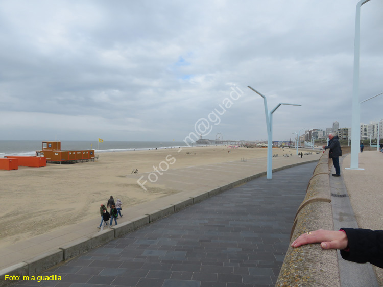 LA HAYA (344) Scheveningen