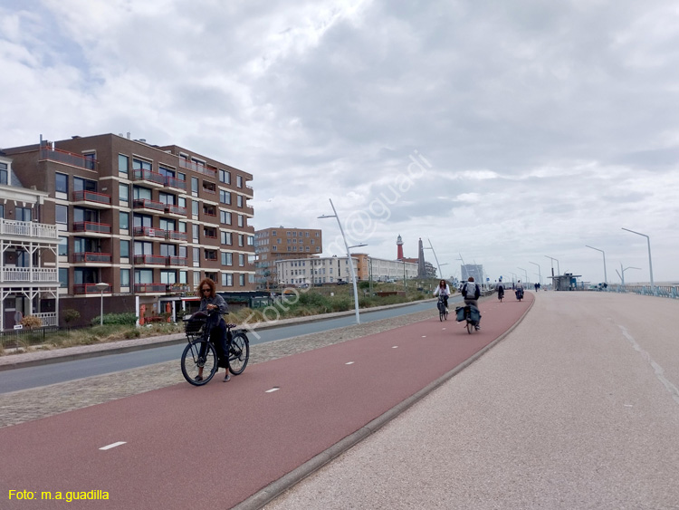 LA HAYA (374)  Scheveningen