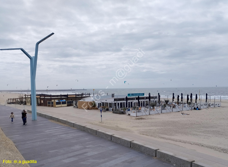 LA HAYA (375)  Scheveningen
