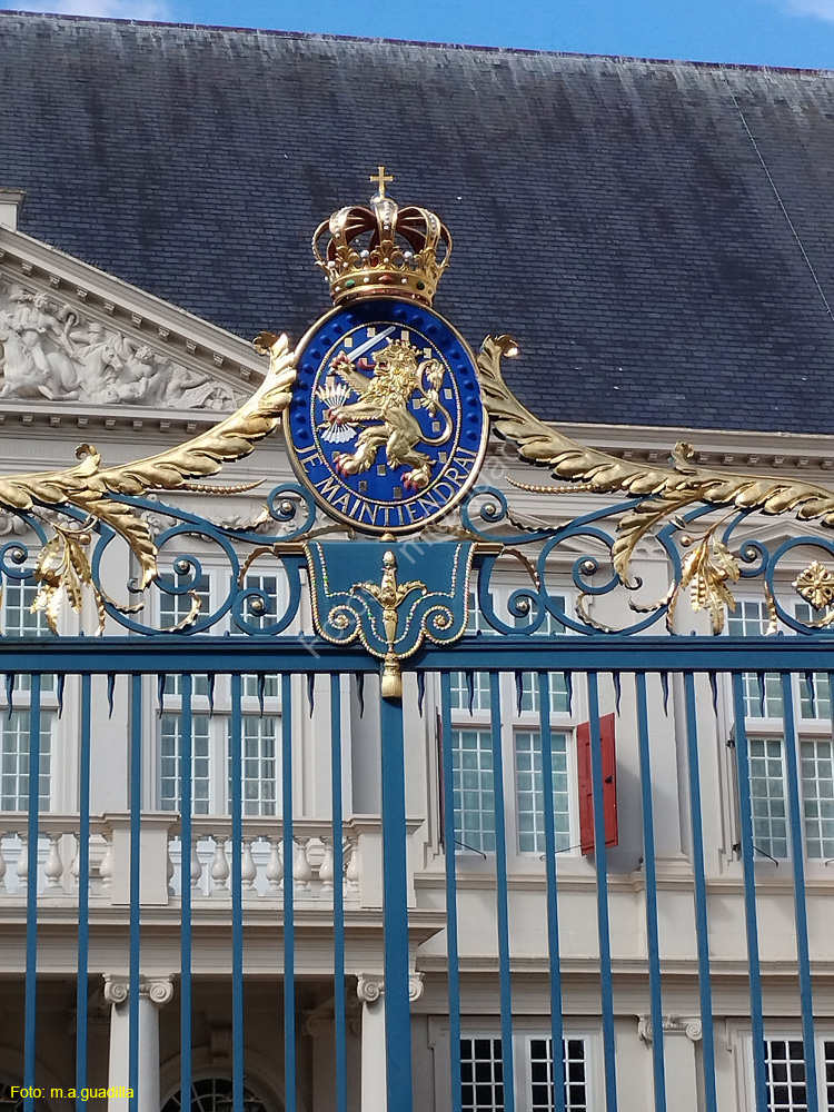LA HAYA (436) Palacio Real 