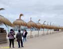 LA HAYA (369)  Scheveningen