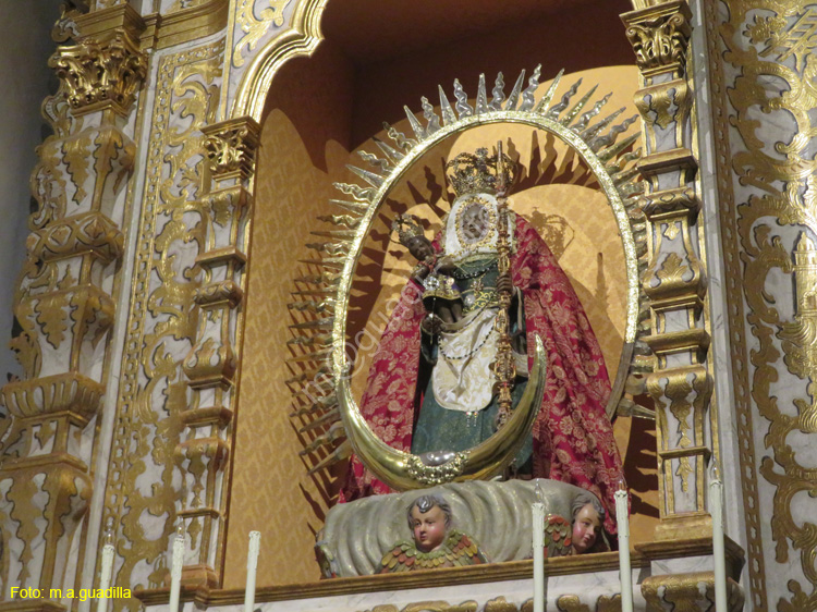 LA LAGUNA (171) Catedral de los Remedios