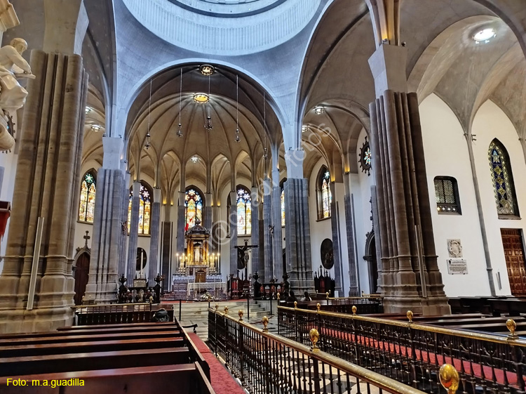 LA LAGUNA (180) Catedral de los Remedios