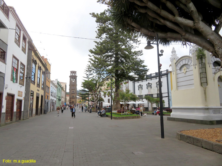 LA LAGUNA (217) Plaza de la Concepcion