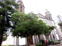 LA LAGUNA (182) Catedral de los Remedios
